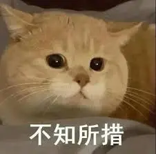 不知所措